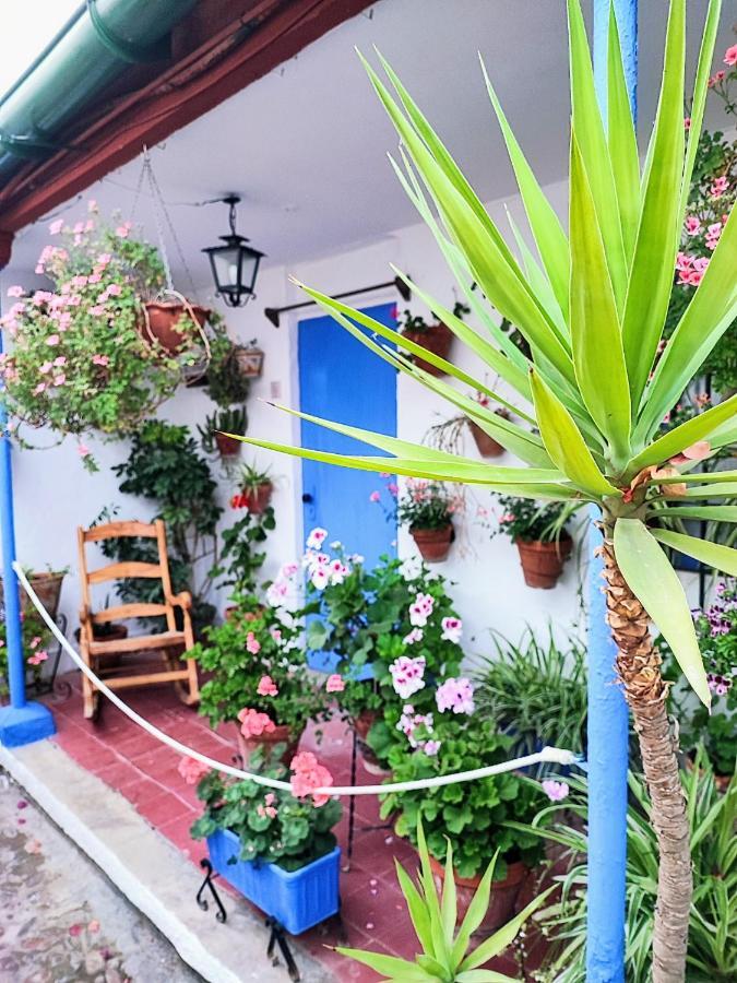 Apartamento Alcazar San Basilio Cordoba Dış mekan fotoğraf