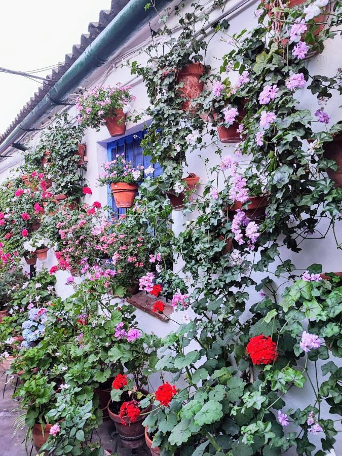 Apartamento Alcazar San Basilio Cordoba Dış mekan fotoğraf