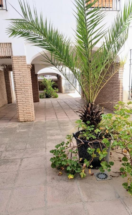 Apartamento Alcazar San Basilio Cordoba Dış mekan fotoğraf
